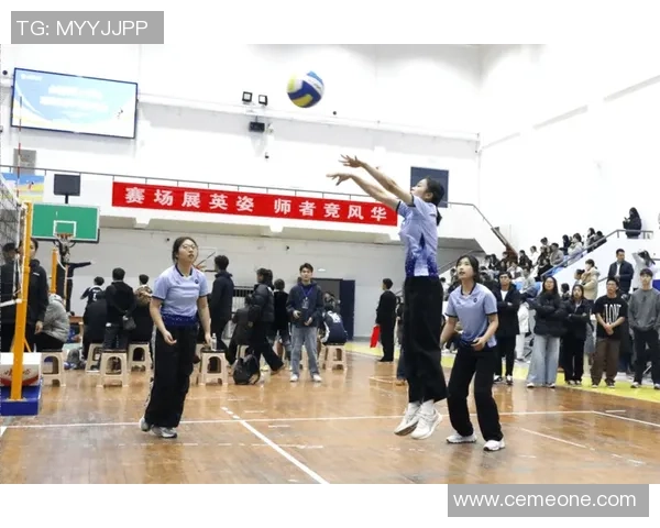 南京排球队的意识提升与团队凝聚力探讨聚焦排球发展新视角