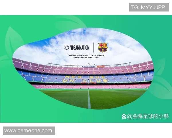 杭州足球队的运营体系与战术创新探索之路